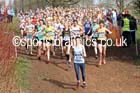 Senior womens 2016 Inter Counties Cross Country Champs. and Cross Challenge Final, Cofton Park, Birmingham. Photo: David T. Hewitson/Sports for All Pics